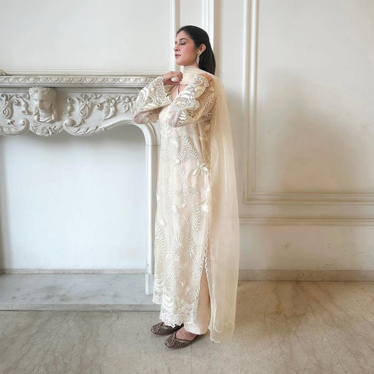 Elegant Heavy Net Embroidered Suit Set