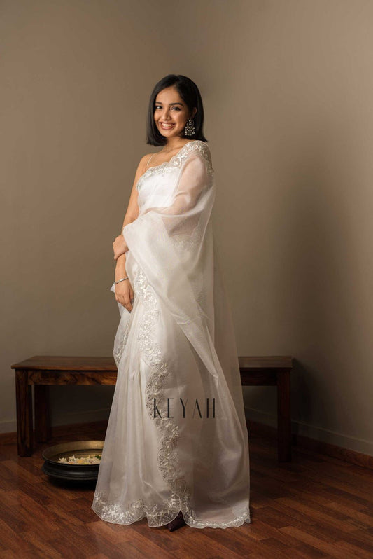 Soft Tabby Organza Saree with sequins embroidered work