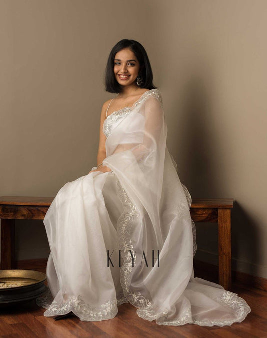 Soft Tabby Organza Saree with sequins embroidered work