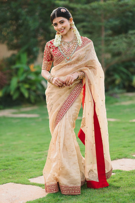 ✨Premium Jimmy Choo Embroidered Saree with Zari & Sequin Detailing✨