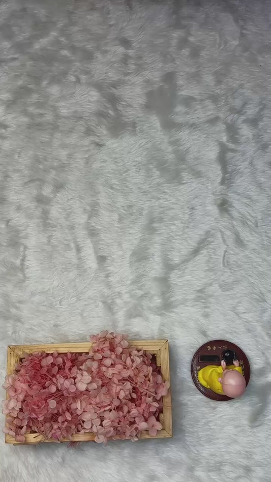 Elegant Blooming Vichitra Saree with Designer Cut Work